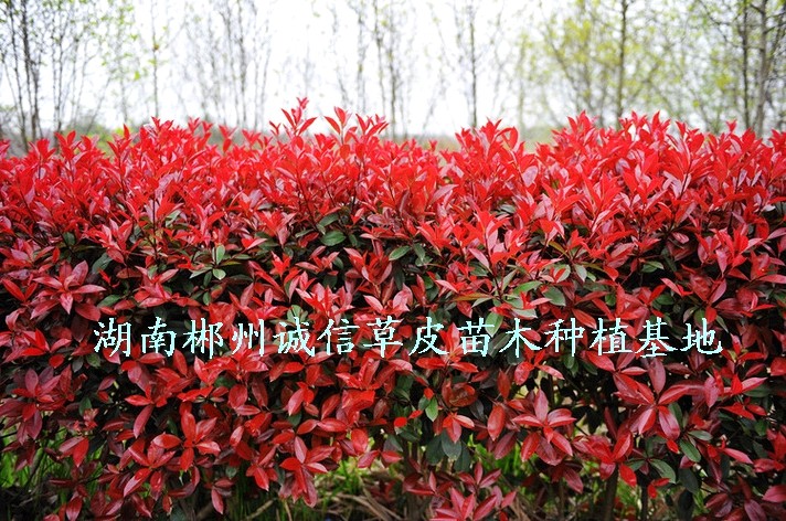 GØ䡢̘䡢t~ʯ骘䡢t~ʯ骘