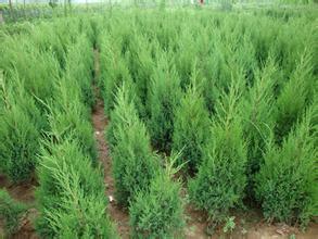 K1.822.5יuخa(chn)ص͈r