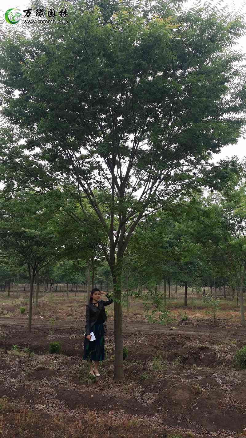 1-10cmtΘ(sh)1-30cmtΘ(sh)ľֱN