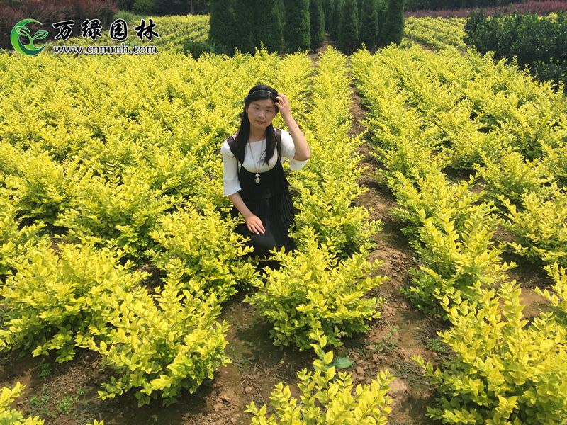 1-5mS~Ůؑ򡢸1-5mS~ŮֱؑN