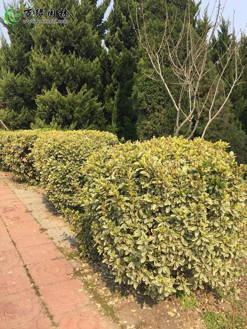 1-5m߅S򡢸1-5m߅SֱN