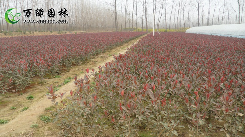 1-5mľʯ10-100cmľʯľֱN