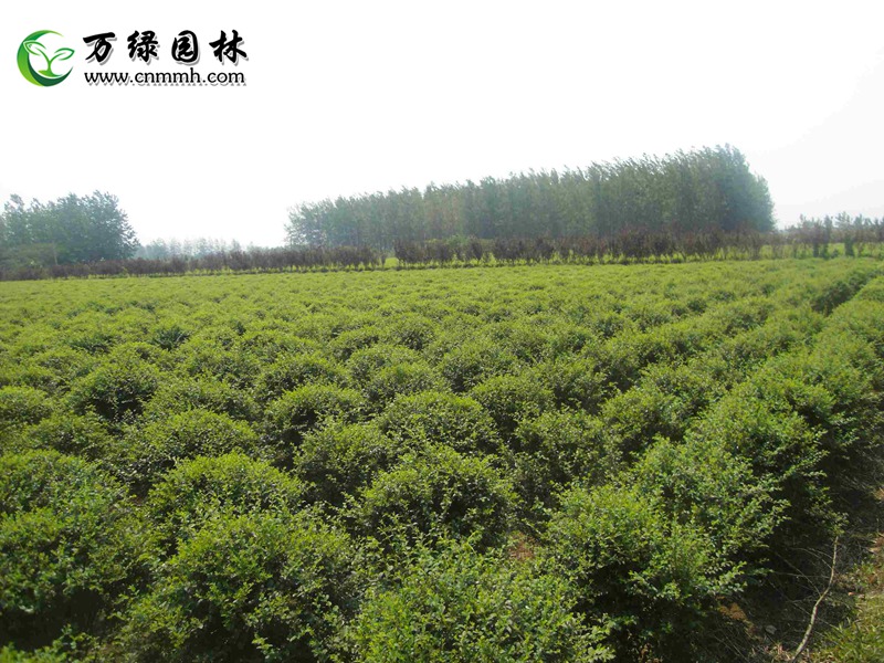 1-5mС~Ůؑ򡢸1-5mС~ŮֱؑN