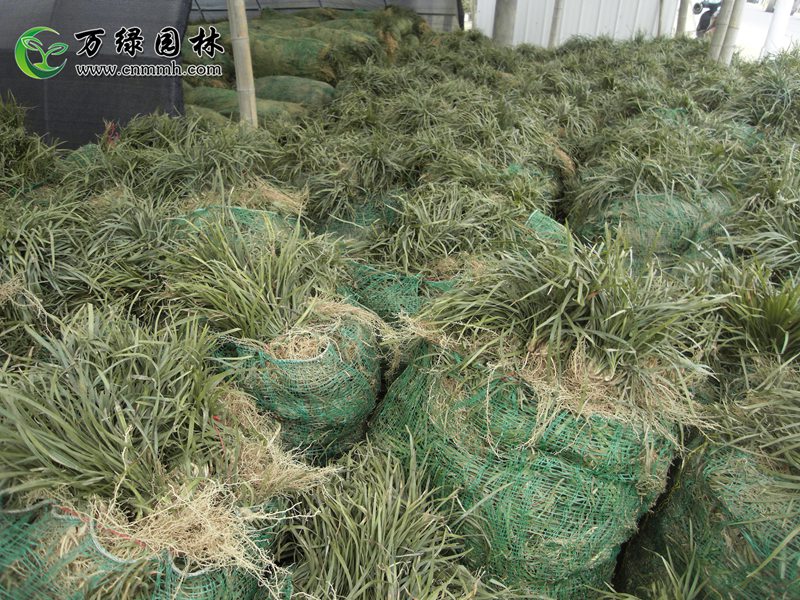 1-20^ݡ1-10fС~ݵرֲ