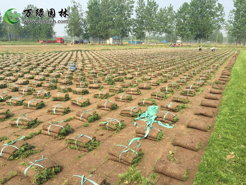 1-20fƽļƺ1-10fļƺرֱֲN