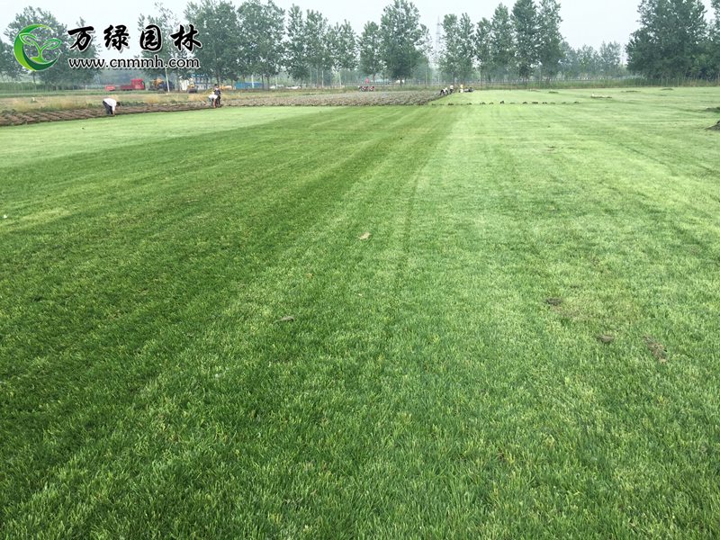 1-20ƽ̲ƺ1-10f̲ƺرֱֲN