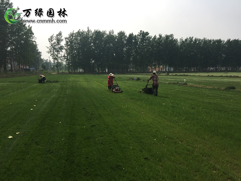 1-20fƽݲƺ1-10fݲƺرֱֲN