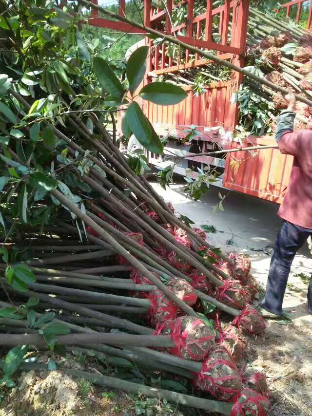 ɽЦС硢1ɽЦ2-3ɽЦ