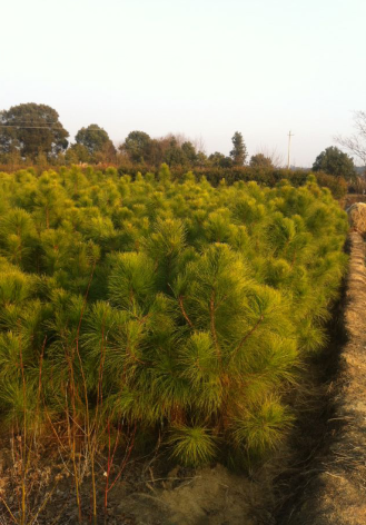 һ׸ߝɡ׏2-3֝Ƀr񡢕ľع