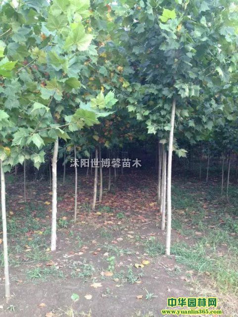 䡢ءͩm~ҡ~ŮؑƽlG