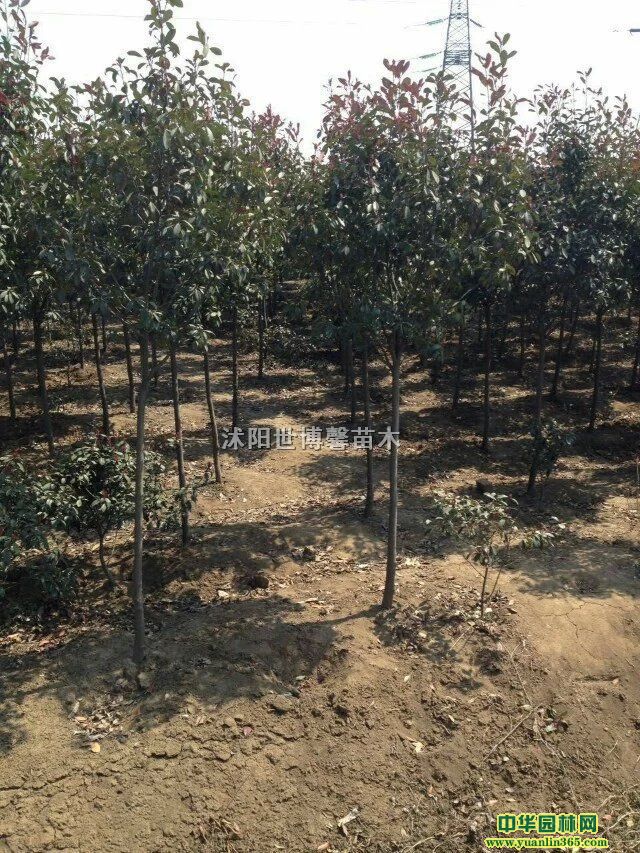 3ּt~ʯ骘䡢Sʯ񡢷ࡢ䡢ɡu