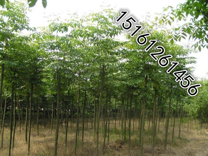 硢ɡͩl(wi)ì~Ůؑt~Сޡۡٵ