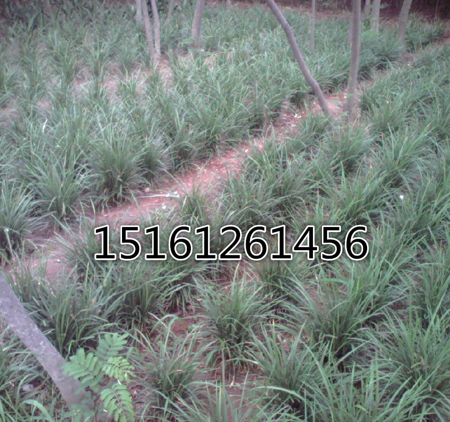 ݡݷNӡ(c)ءءС~ŮؑˮDɽ髵