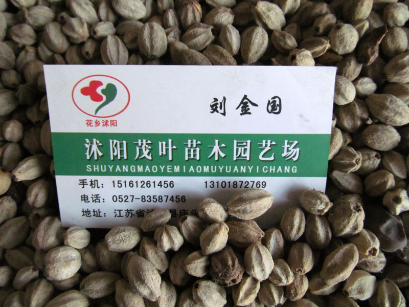 鬷NӡͩNӡlì~Ůؑt~Сޡۡٵ