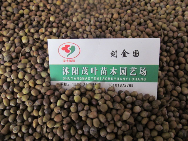 ؁tN_hɷN~÷NѩɷNӵ