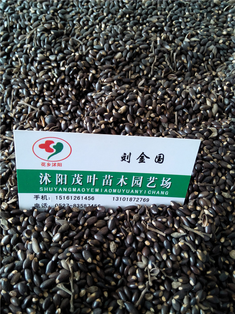 ĸNӡoӡ⬌(sh)NӡʯNӡNӡĹڹ