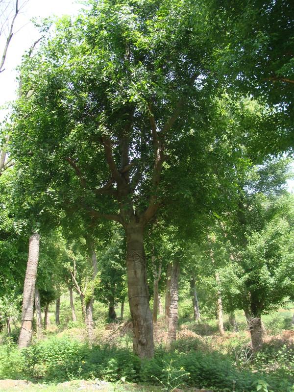 䡢䡢˘䡢S𻱡䡢ߗUŮؑľ