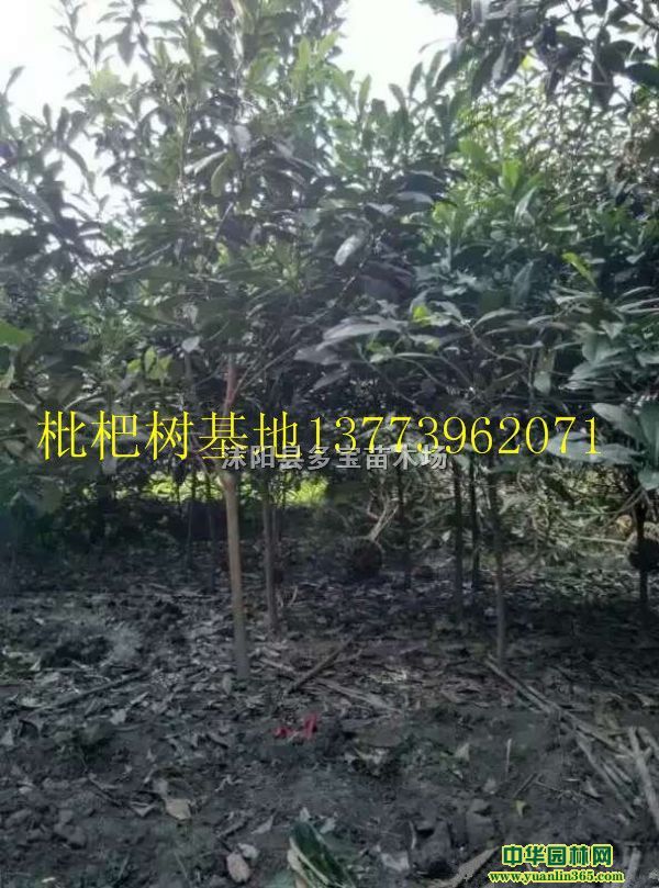 2017؏7˘r210ԪһÈrخa؈DƬ