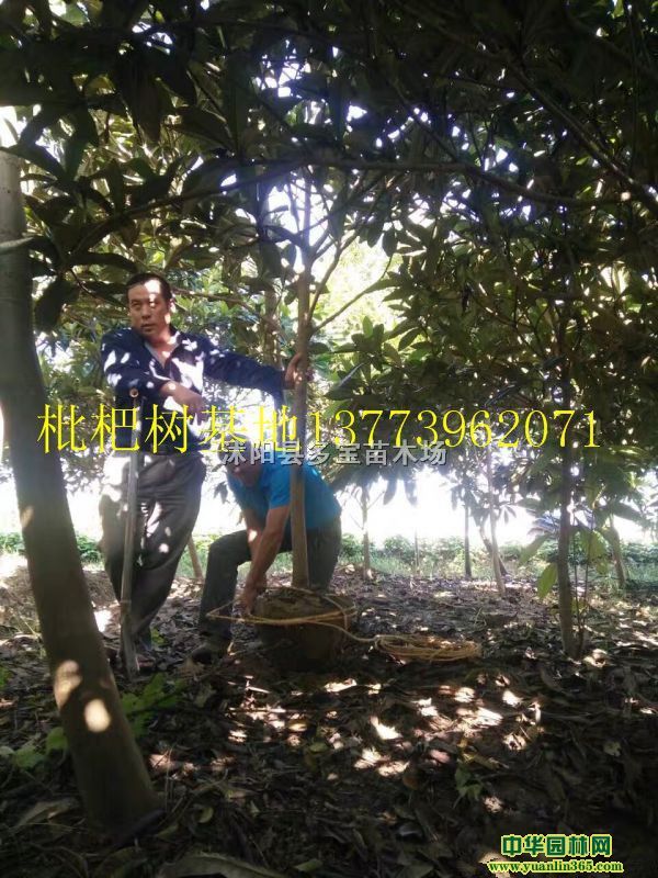 2017؏10˘r530ԪһÈrخa؈DƬ