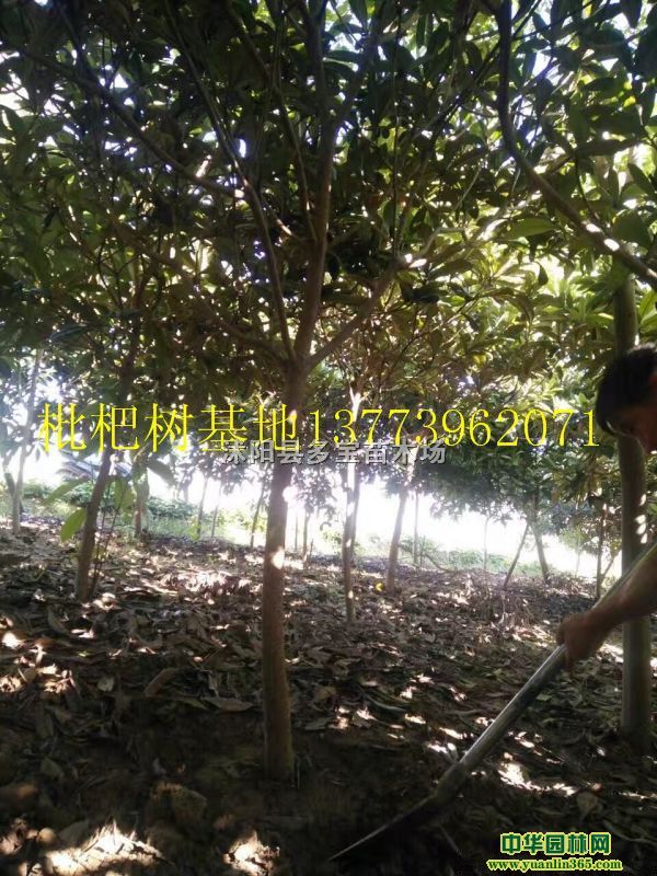 2017؏2˘r(ji)10ԪһÈ(bo)r(ji)خa(chn)؈DƬ