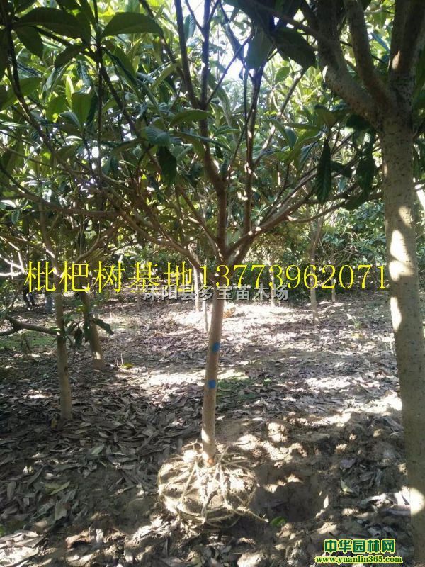 2017؏5˘r80ԪһÈrخa؈DƬ