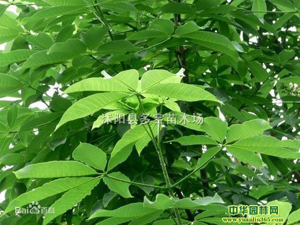 2017׏6~Сľrr~؈DƬa