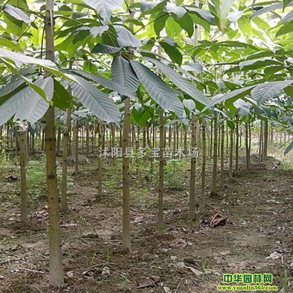 2017׏10~Сľrr~؈DƬa