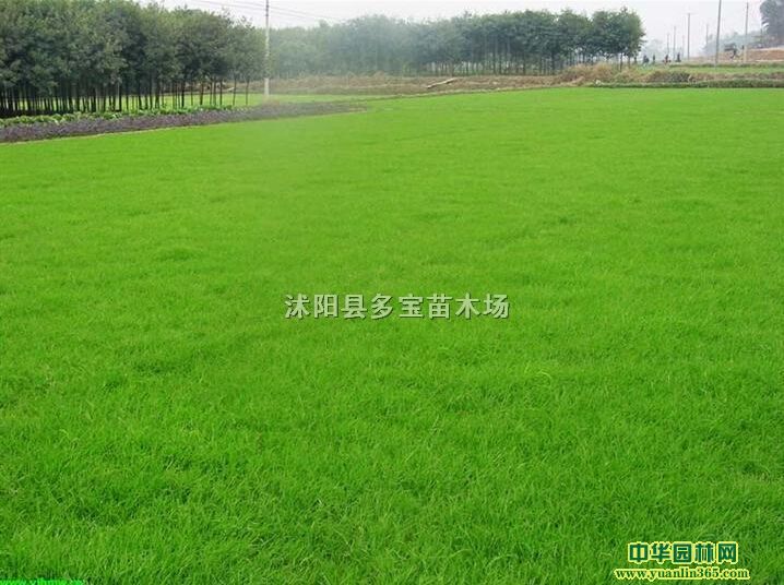 2017ĽƤƺr(ji)񡢷Nӡ(bo)r(ji)ءDƬ