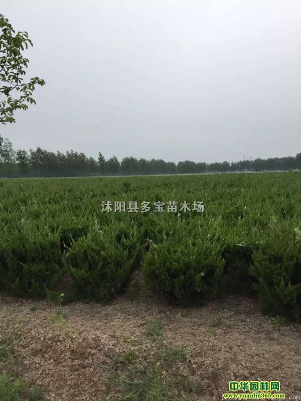 201760ָСr(ji)60С(bo)r(ji)