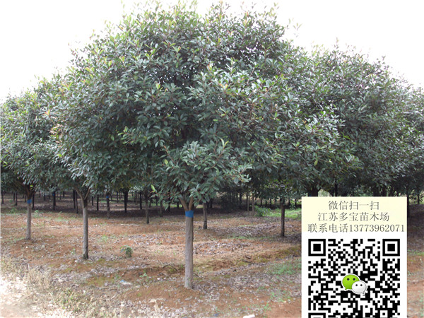 201710ָߗUt~ʯ骘r9ָߗUʯ骘r