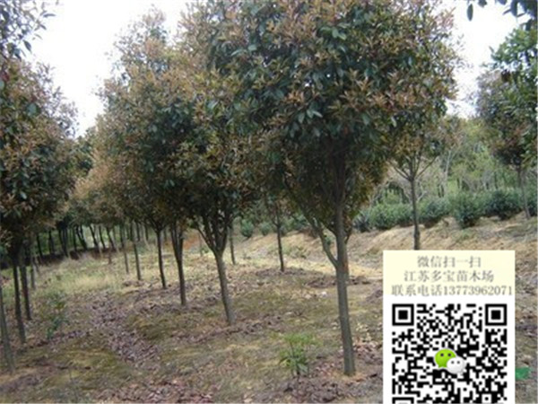 20173ָߗUt~ʯ骘r4ָߗUʯ骘r