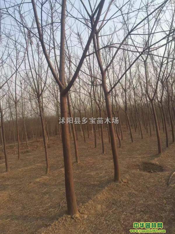 201715ֿ鬘r15ֿ鬘r