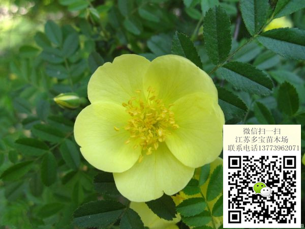 2017߶60SõСr񡢈rDƬaػ