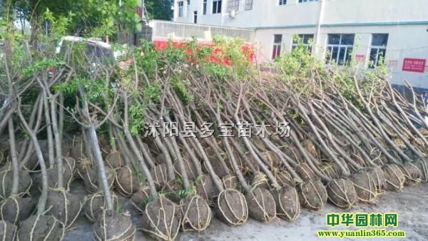 210174ëҘ(sh)r(ji)(bo)r(ji)a(chn)ػDƬ