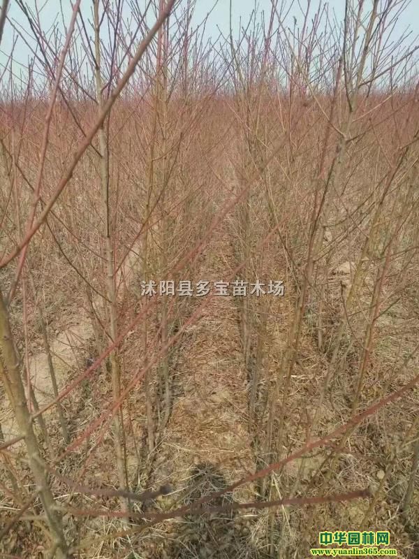 210176ëҘrraػءDƬ