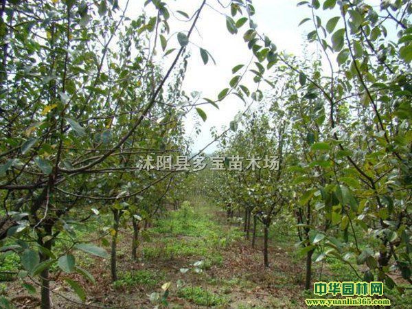 2017؏5ľϺăr6ľϺĈr