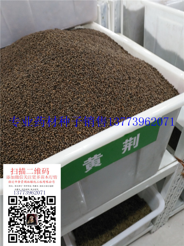 2017²ժˎķNSGNӃr񡢈rخaءDƬ