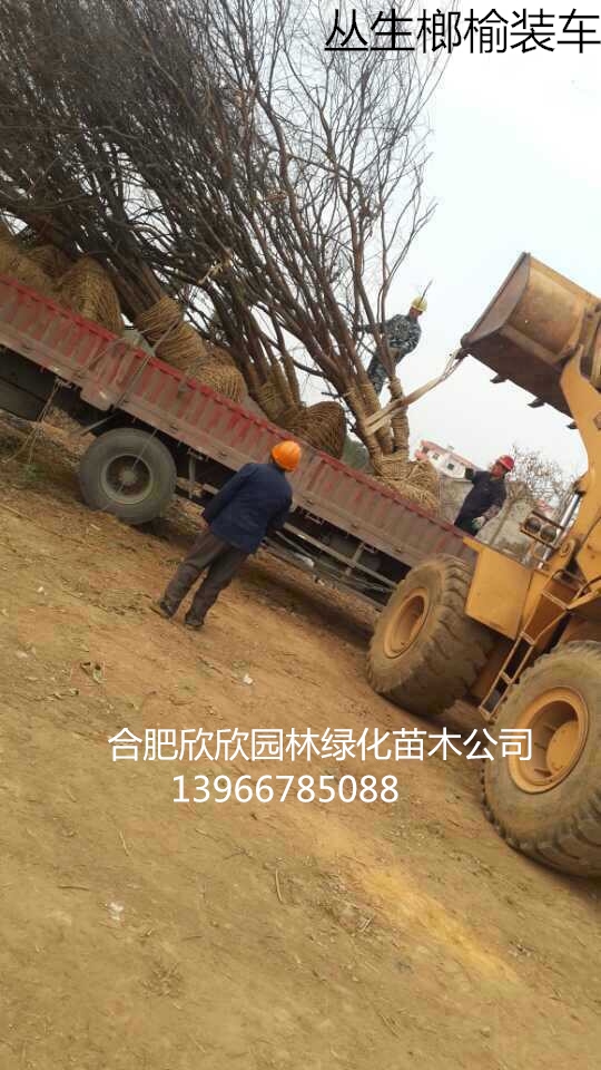 30-100֡ÿU10-20֡3-8U