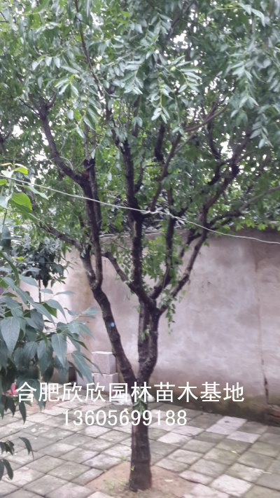 10-30֡ܘ䡢ϲ䡢Θ䡢