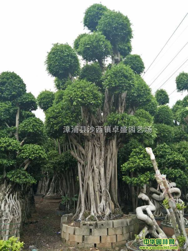 С~Ř^Ř䘶^С~Ř3-8׸