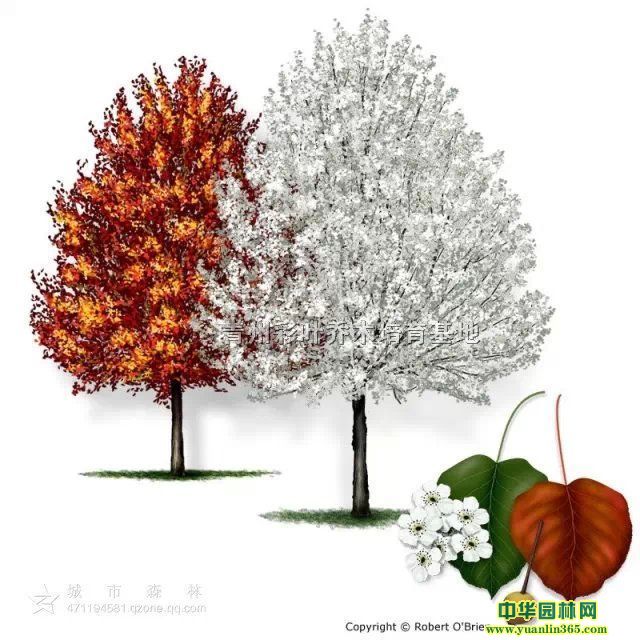 桢W޶㡢Չ(mng)áŲ