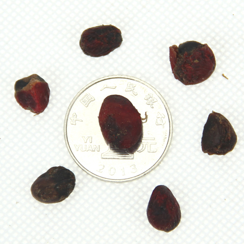 (yu)|(zh)mNӡ·NӃrN