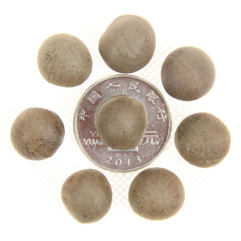 ľNӲNɽͥԺevN~NͲN