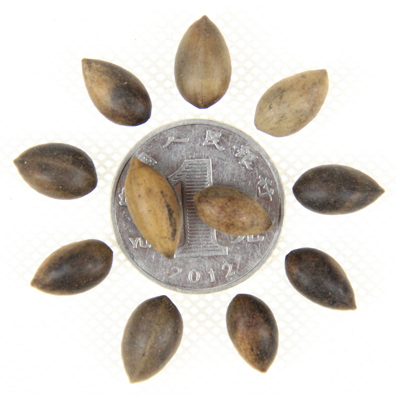 ~E骷NFľĘNС~(x)~zľNӘE骈@ֲ