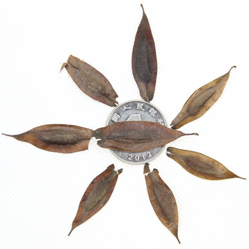 ك(yu)|(zh)ٷNӡˎNӡ²աl(f)ѿʸߡˎķNe