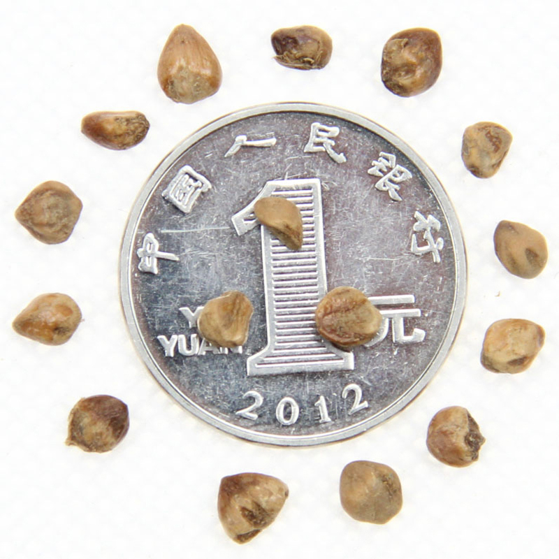 uطNӰؘ䡢Aءء̰ءu؂(c)ءGľļ