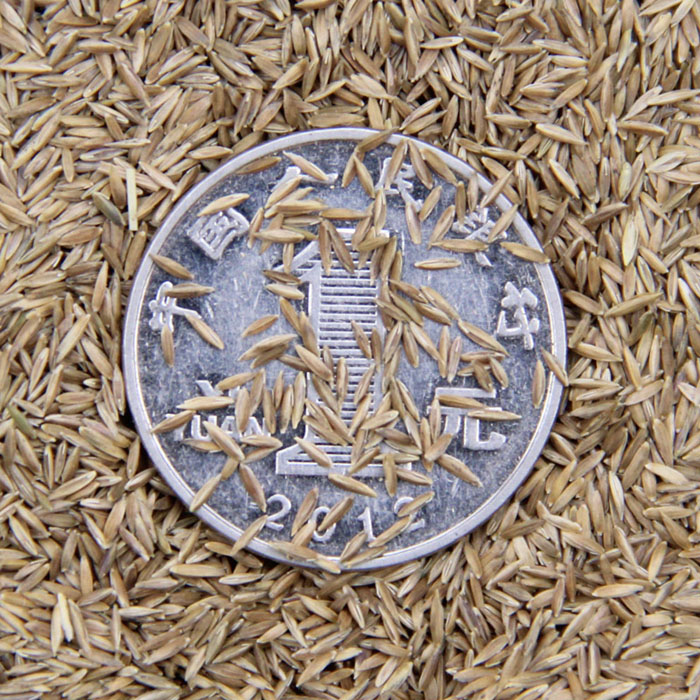 (yu)|(zh)ƺNӡXݷNӡ`ֱ̤N(xio)(yu)