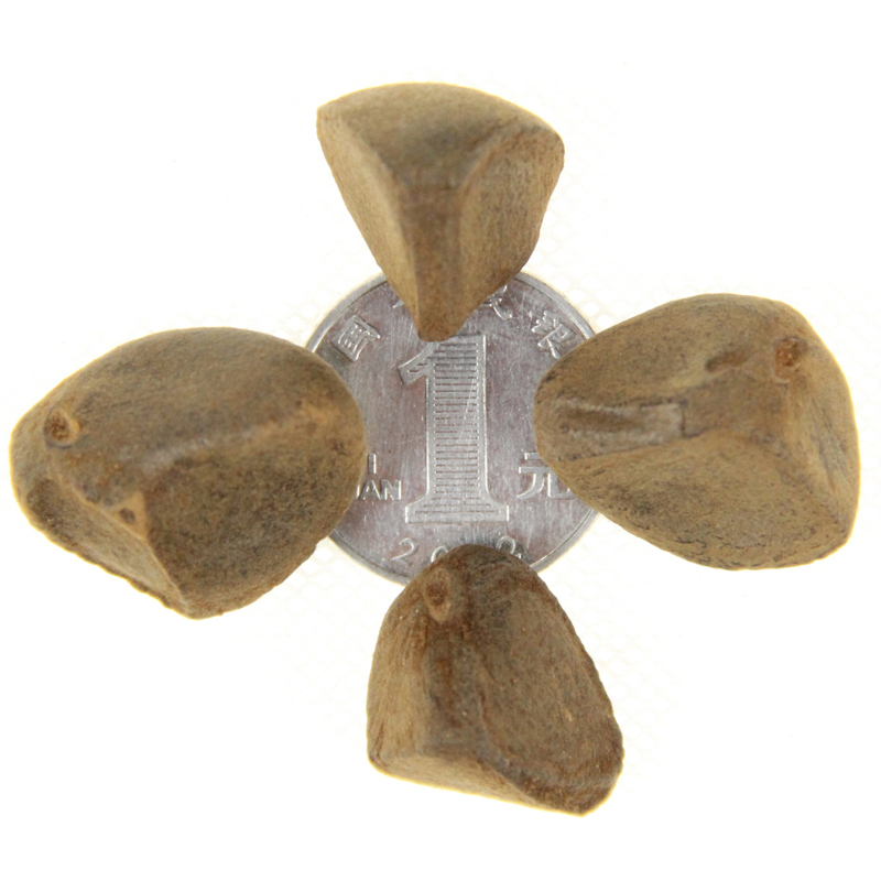 ²ͲNӡtͲNӡ׻ͲtͲ胞|ʳo