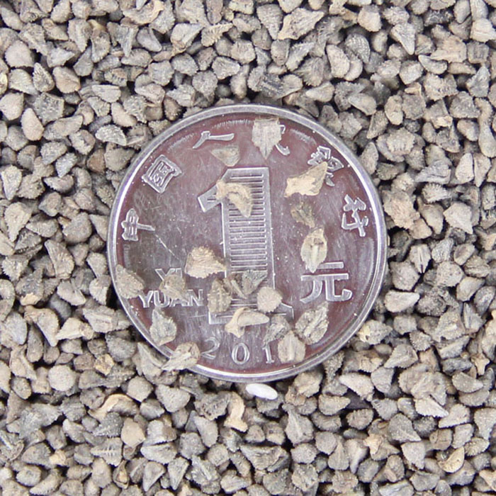 ֱNݻNӡ|{ENr񃞻ݡ{ENӡƷNR