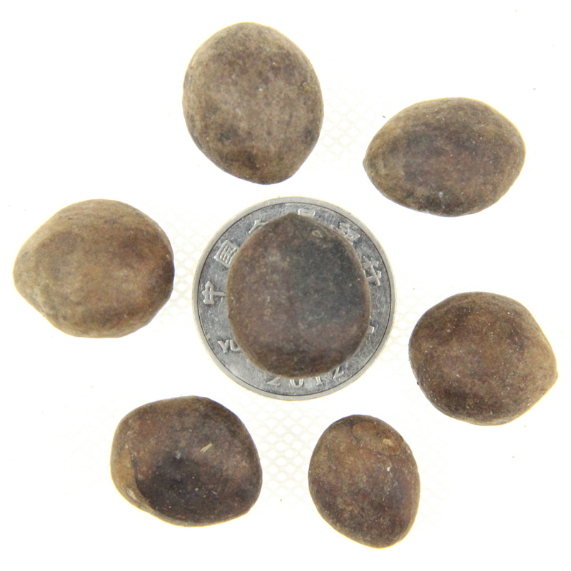 ˷Nӡ˘Nӡ˹Nӡ硢NNl